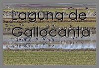 Laguna de Gallocanta